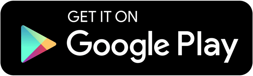 Google Store Icon